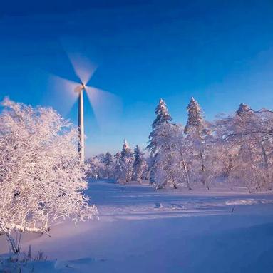 户外品牌植入创新，直播生态全面升级，《覆雪之上》获奖亮点解析