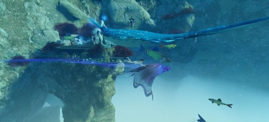 深海探险新纪元，永恒天空开放捡宝盛宴免费开启