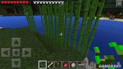 轻松掌握：Minecraft甘蔗种植与高效利用指南