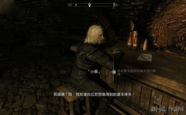 《上古卷轴5》盗贼公会任务攻略：深度解析全新玩法技巧