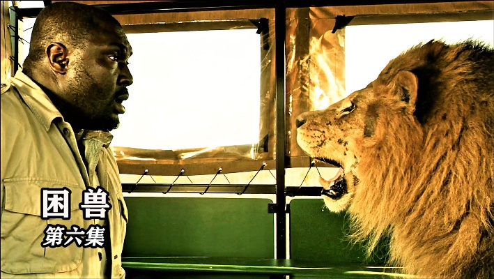 《困兽之国Drova》11月19日中文版首曝，沉浸式探险新体验