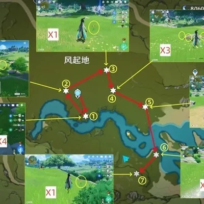 风车菊高效采集攻略，解锁神秘新价值