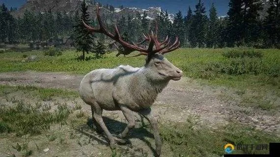 《荒野大镖客2》麋鹿藏匿攻略，探秘荒野珍稀动物踪迹