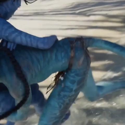 《阿凡达》飞行坐骑加速秘籍，掌握速度新境界