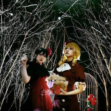 薇洛技能树深度解析：解锁《饥荒》生存新境界