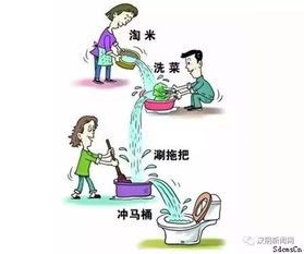 高效节水攻略：鼠托邦如何应对水资源短缺危机