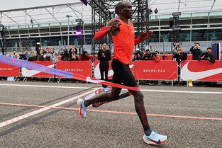 电子游戏马拉松新纪录：34岁匈牙利男子刷新最长时长传奇