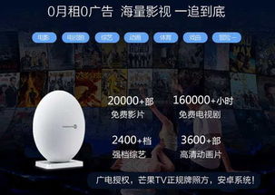 风云官网2025隐藏了什么终极彩蛋？新手速成秘籍大揭秘