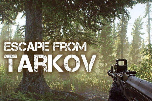 《逃离塔科夫》版本性价比解析：揭秘哪个版本最超值