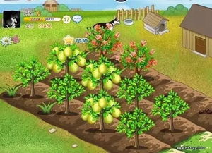 轻松解锁《QQ经典农场》入口，畅玩农场新体验