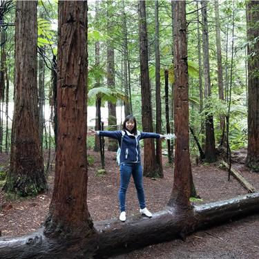 温馨3D农场新体验，Everdream VillageSteam抢测惊喜来袭