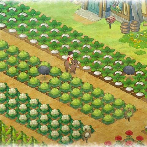 《哆啦A梦牧场物语2》攻略：价格配置解析及购买推荐