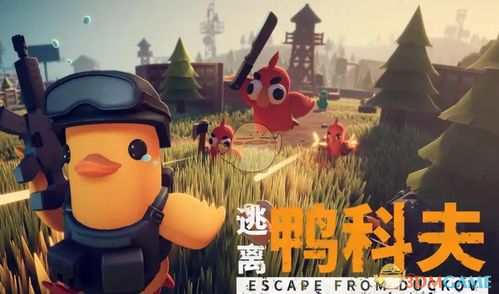 《逃离鸭科夫》性价比解析：揭秘游戏特色与价值点