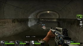 惊悚求生新篇章，半条命3血源2续集震撼来袭