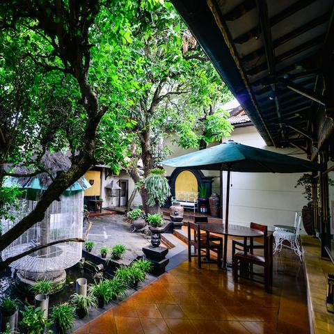 《苏丹游戏》价格揭秘：探寻性价比之选