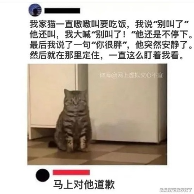 熟女心动20岁处男，揭秘梦幻囧图新价值