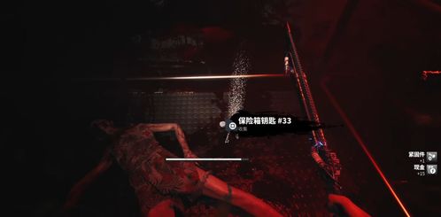 《死亡岛2》哈尔柏林酒店保险箱密钥攻略：解锁财富新秘籍