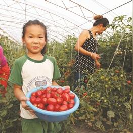 甘露花海全攻略：高效解谜宝箱收集秘籍大公开