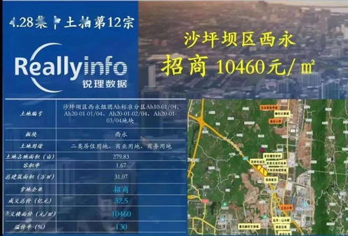 《雪居之地》木疙瘩属性深度解析，解锁全新价值奥秘