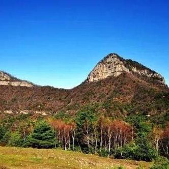 龙之传奇官网，2025年独家秘籍助你称霸战场！