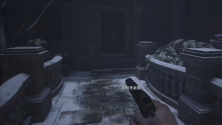 《生化危机8》无限弹药攻略：解锁方法大揭秘，轻松畅玩！