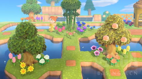 双入海口岛屿升级秘籍：打造《动物森友会》梦幻乐园