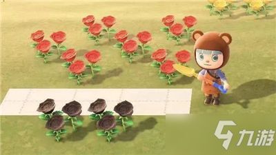 《动物森友会》蓝玫瑰杂交攻略，浇水技巧预测新攻略