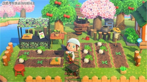 《动物森友会》岛屿高分秘籍：打造完美家园攻略全解析