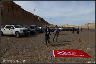 三角洲行动零号大坝鸟窝位置高清图揭秘，探秘攻略新视角