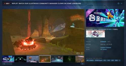 《雨中冒险2》合金意念神器密码解锁攻略：威望神器解锁方法大揭秘！