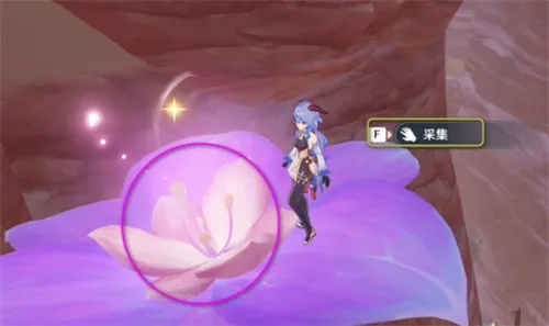 原神忧昙花采集攻略：探秘花蕊位置新技巧