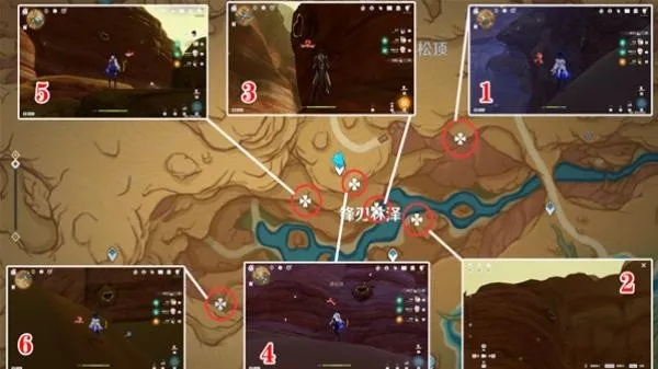 荒石苍漠忧昙花全收集攻略，解锁神秘新价值