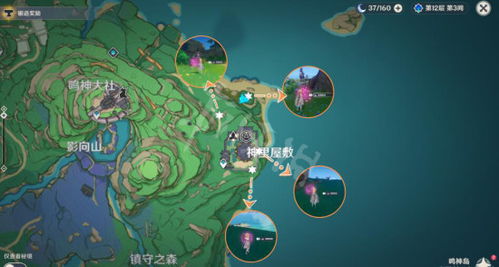 《原神》3.6版草神瞳全收集攻略，解锁神秘新元素秘境