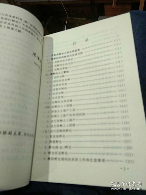 雷劫万千成本解析：揭秘《大侠立志传》高效获取之道