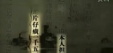 苍龙白鸟谜底揭晓，临安城中药谜题新解探秘