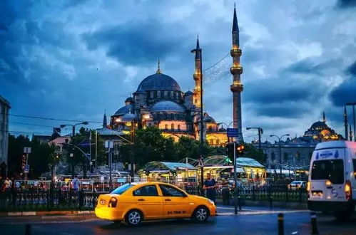 中世纪酒馆躺赢秘籍：Tidehaven: Ale & Trade财富自由demo首发！