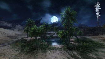 逆水寒舞阳城老一淳于洋高效攻略，掌握技巧轻松通关