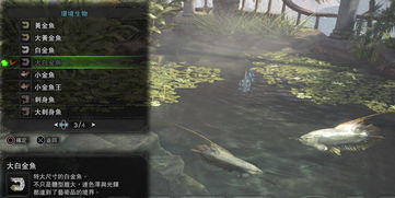 《怪物猎人世界》钓点攻略：揭秘鱼类分布与捕捞技巧