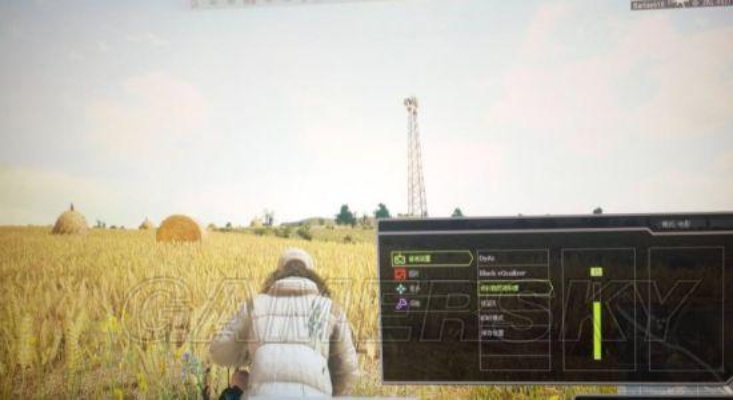 N卡绝地求生色彩调优秘籍，深度解析画面色彩调整技巧