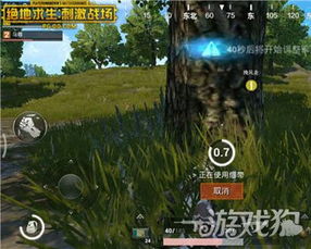 精准预判毒圈，决赛圈制胜攻略，解锁绝地求生新境界