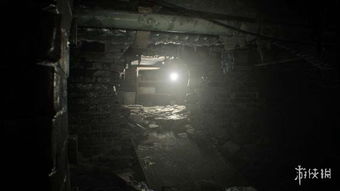 《生化危机7》非英雄DLC深度解析：解锁生存新技能