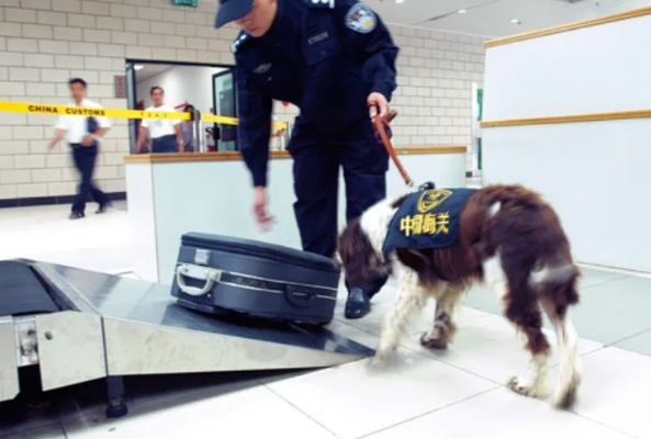 警方枪杀宠物狗赔偿50万，引发社会关注与反思