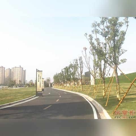 《江山北望》Steam价格揭晓：揭秘性价比之选