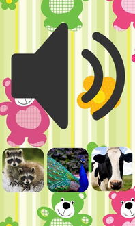 《REANIMAL》XSX版价格揭秘：探秘全新游戏价值点