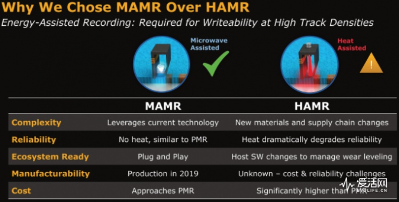 《REANIMAL》版本详析：深度揭秘各版特色与新增价值