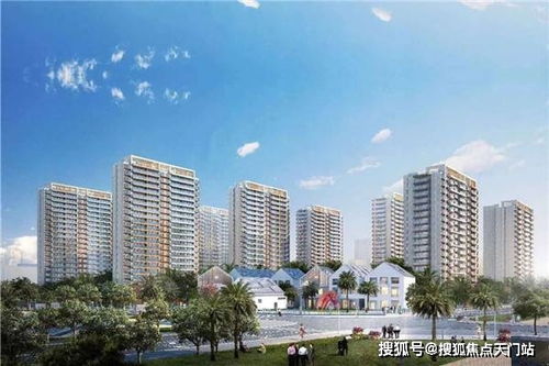 REANIMAL版本价格解析：揭秘性价比最高版