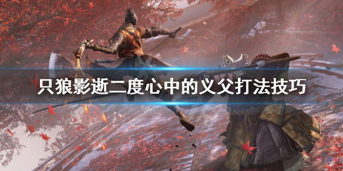 《只狼》深度攻略：多周目BOSS精英战法，义父剑圣全新打法解析