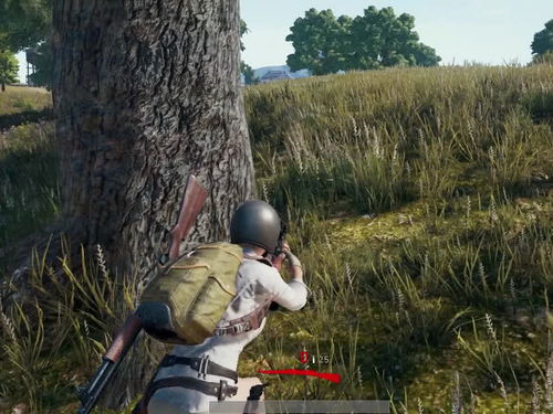 PP19与UMP9性能对决：揭秘绝地求生新利器优劣对比