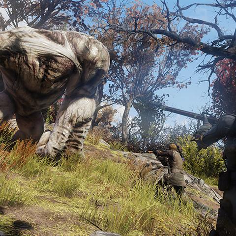 《辐射76》属性卡攻略：高效刷经验秘籍，CAMP实用技巧大公开