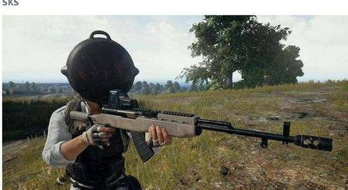 MK47性能解析：绝地求生新步枪实战优势一览